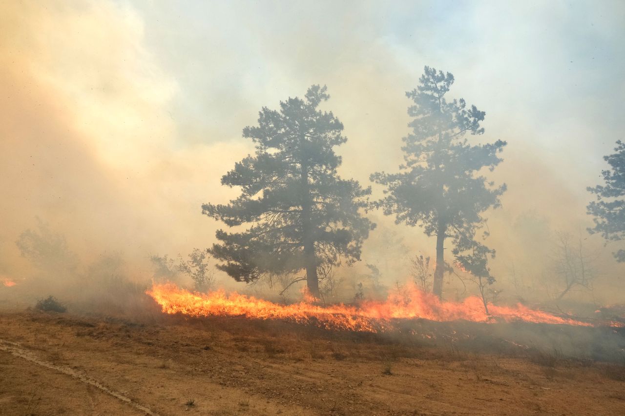 World on fire alert: Bulgaria battles raging wildfires amid scorching heat