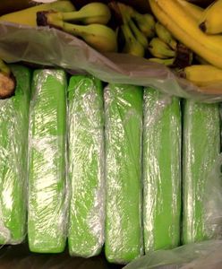 Warszawa. Bananowy transport z niebezpiecznym gratisem. 160 kilogramów narkotyku w kartonach