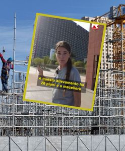 Wieżowiec dla świń w Chinach. Są oddzielne piętra z lochami, knurami oraz warchlakami