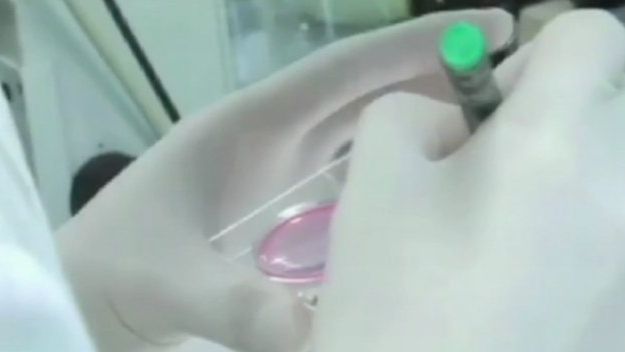 Kanadyjczycy mają szansę pozbyć się AIDS [wideo] 1