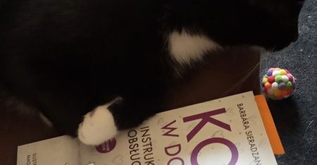 Kot w domu. Instrukcja obsługi. To ma być jakiś żart? Nie, to świetna książka!
