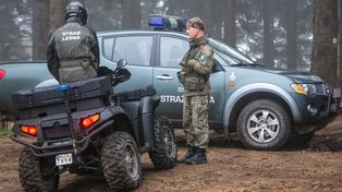 Uważaj podczas spaceru. Wielka akcja w lasach