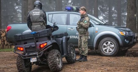 Uważaj podczas spaceru. Wielka akcja w lasach