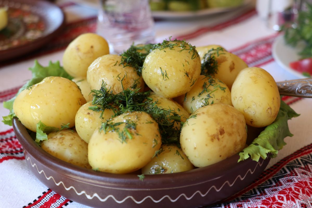 Młode ziemniaki z koperkiem to smak lata