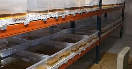 Rozbita fabryka narkotyków syntetycznych – policja zabezpieczyła 860 kg substancji o wartości 70 mln zł