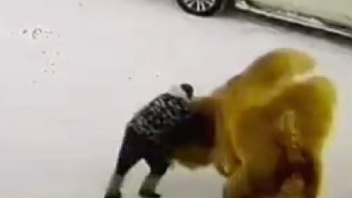 Wielbłąd zadeptał na śmierć człowieka, który wcześniej brutalnie go uderzył