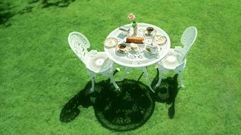 Trawnik piękniejszy niż u sąsiada. Proste kroki, by cała okolica zazdrościła murawy