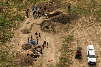 Kalifornia: 117 martwych psów w schronisku. Znaleźli rany postrzałowe