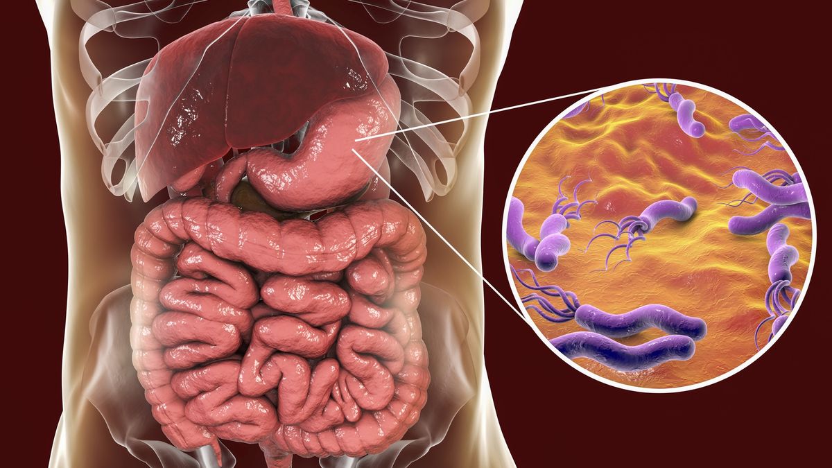 Nowe ustalenia badaczy o helicobacter pylori
