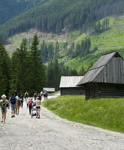Sprzedaż działek na Podhalu. "To jak ułożenie głowy pod gilotyną"