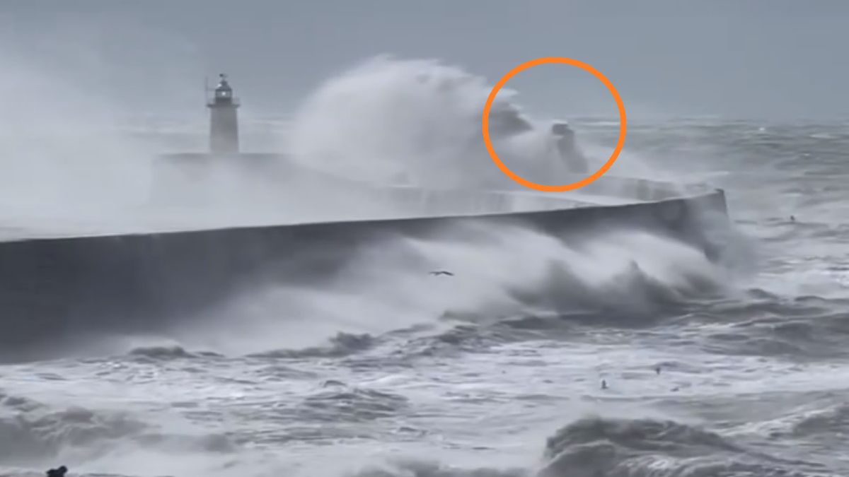 Fotograf nie dowiedział własnym oczom. Okazało się, że fale ułożyły się w kształt... twarzy starożytnego boga Neptuna 