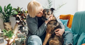 Twój pies nie jest "dziwny". Badanie pokazuje, jak wiele psów żyje w lęku