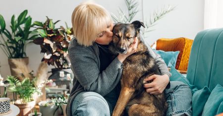 Twój pies nie jest "dziwny". Badanie pokazuje, jak wiele psów żyje w lęku
