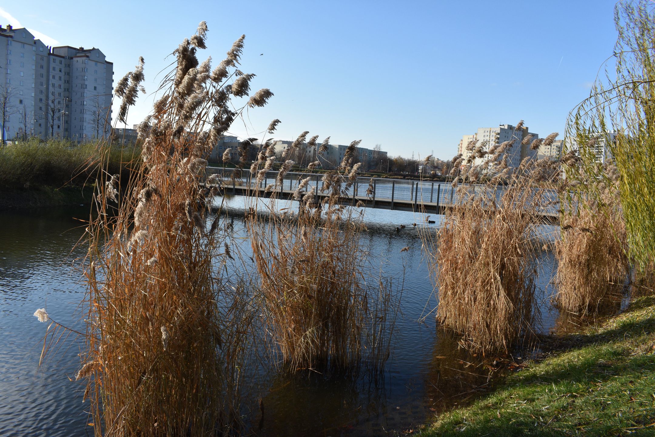 Nikon D3400 - test lustrzanki dla każdego 40