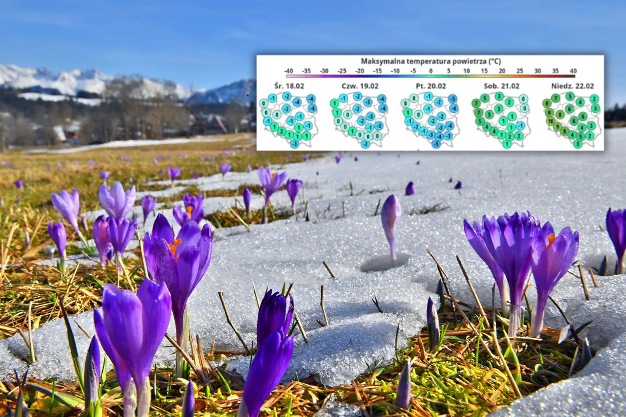 Mrozy, a potem nagły skok temperatury. Zobacz prognozę na 5 dni