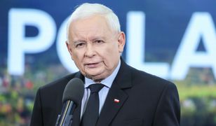 Algorytmy kontra narzędzie sprawowania władz [OPINIA]