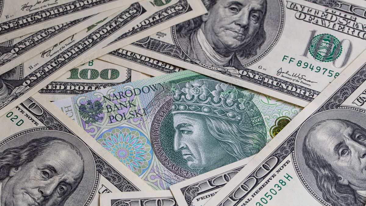 Rekordowa wartość dolara względem złotego