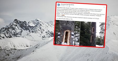 Nie zrobili tego ludzie. Zdjęcia z Tatr niosą się w sieci
