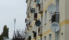 Wysokie pozycje Canal+ i Polsat Box w europejskim rankingu operatorów