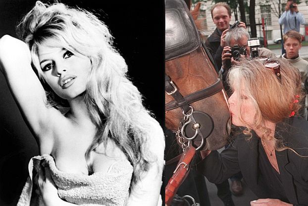 Brigitte Bardot chce zostać... prezydentem Francji!