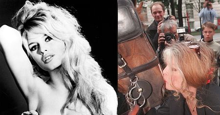 Brigitte Bardot chce zostać... prezydentem Francji!