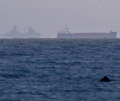 Kolejny kabel na Bałtyku przerwany. Podejrzewają sabotaż