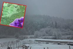 Śnieżyca nie odpuści. Zapowiadają wielogodzinne opady