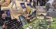 Poznań: Plaża KontenerArt zamieni się w artystyczne targowisko