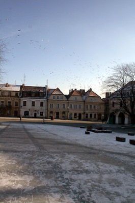 Obraz