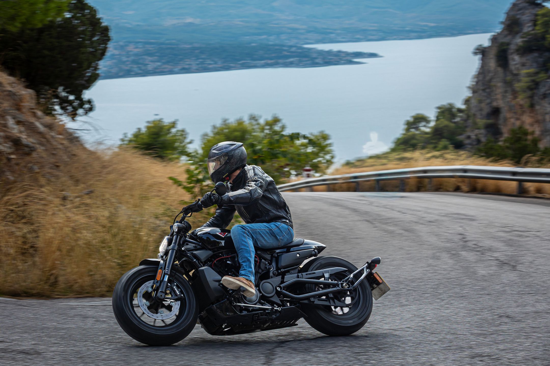 Harley-Davidson