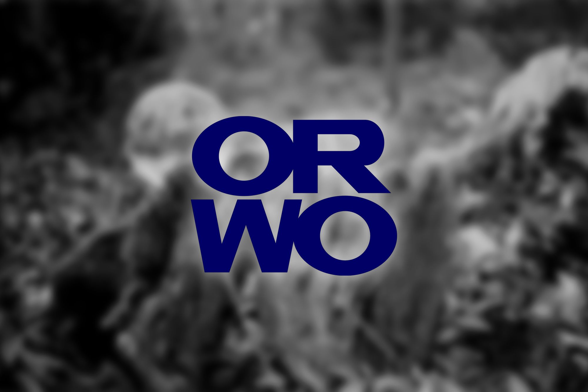 ORWO pokazuje nowy film po 50 latach. Szok i niedowierzanie! 1