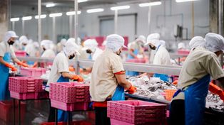 Producent sałatek kończy działalność. 200 osób straci pracę