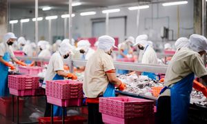 Producent sałatek kończy działalność. 200 osób straci pracę