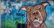Burza wokół schroniska w Płocku: emocje, zarzuty i polityczne echo!