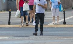 Badacze z Niemiec alarmują. Agresywna populacja wzrośnie