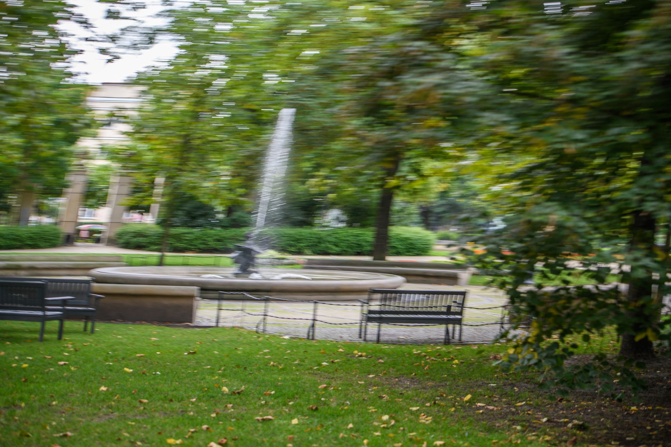 Czy Nikon D850 to rzeczywiście lustrzanka kompletna? Sprawdzamy w praktyce  [test + wideo] 12