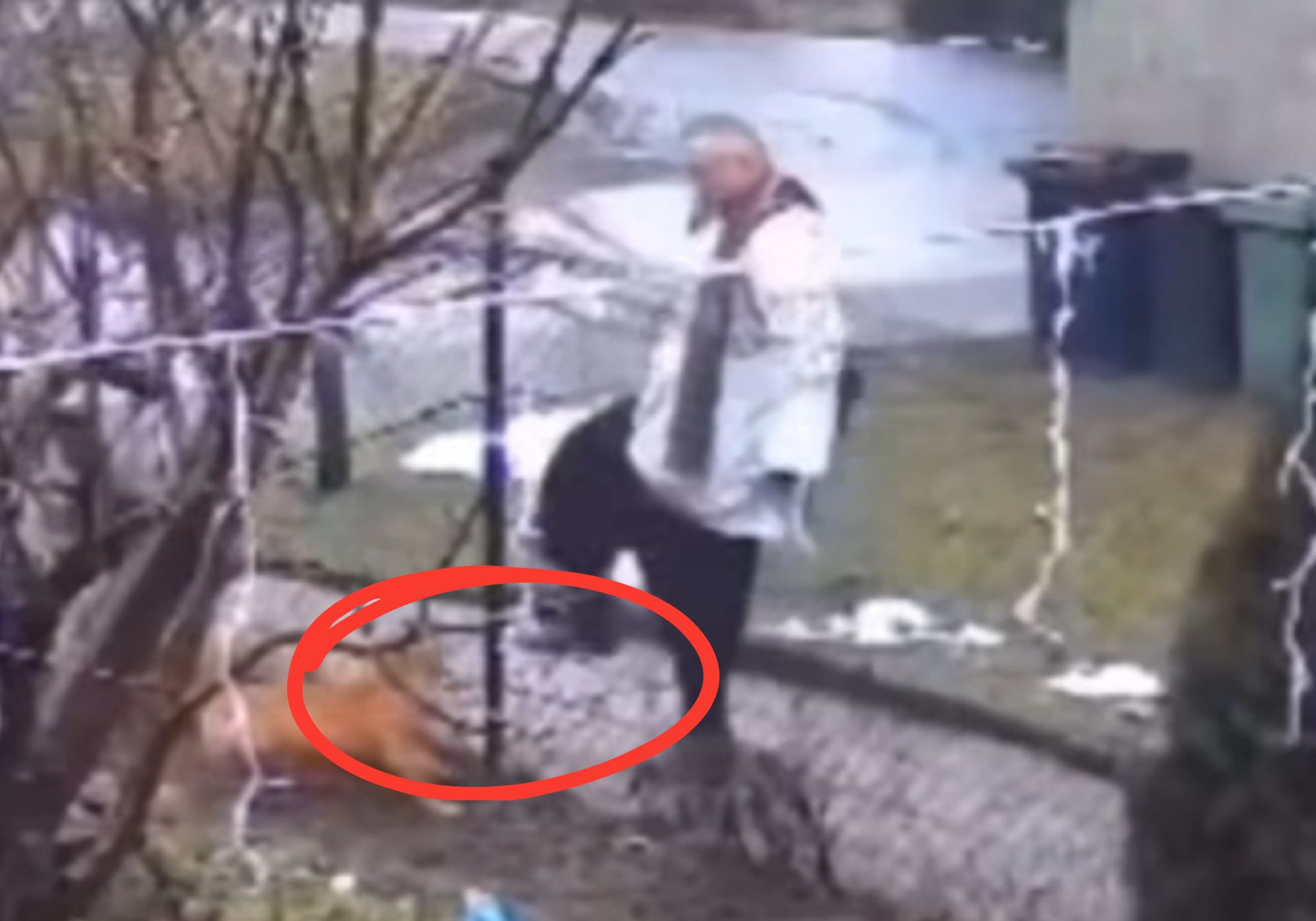 Do sieci trafiło nagranie księdza po kolędzie. Litewka pokazał, jak ...