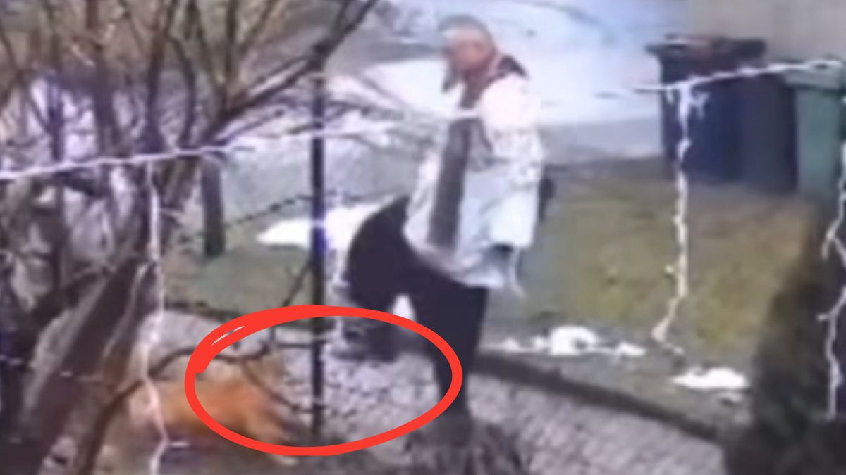 Zachowanie księdza wstrząsnęło internautami