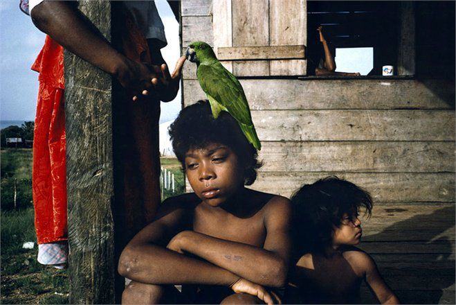 Alex Webb - opowiada o fotografii i życiu 1