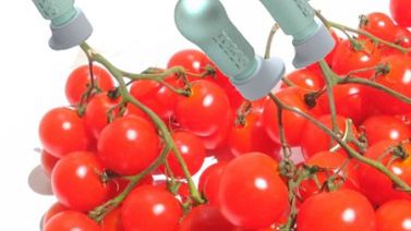 Pojemniczek zachowujący świeżość na dłużej - bez konserwantów 1