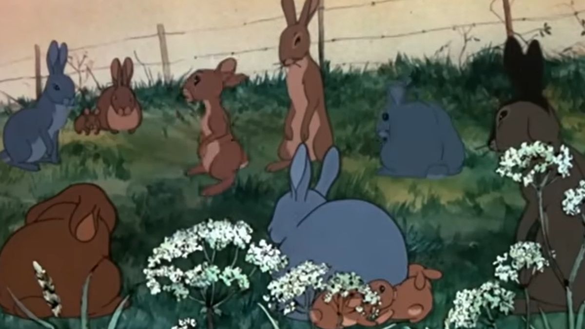 Emisja "Wodnikowego Wzgórza" w niedzielę wielkanocną zakończyła się skandalem