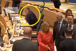 Kpią z Orbana. Zrobił to na widok Zełenskiego