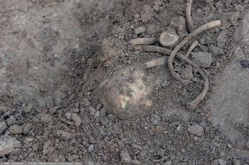 Najpierw trzewik. Teraz miecz. Kolejny historyczny artefakt pod Iławą