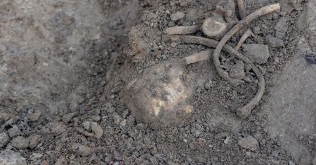 Najpierw trzewik. Teraz miecz. Kolejny historyczny artefakt pod Iławą