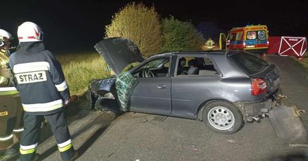 Tatar: Tragiczne zderzenie z sarną. Zginął 36-letni kierowca