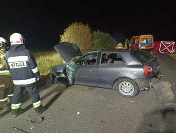 Tatar: Tragiczne zderzenie z sarną. Zginął 36-letni kierowca