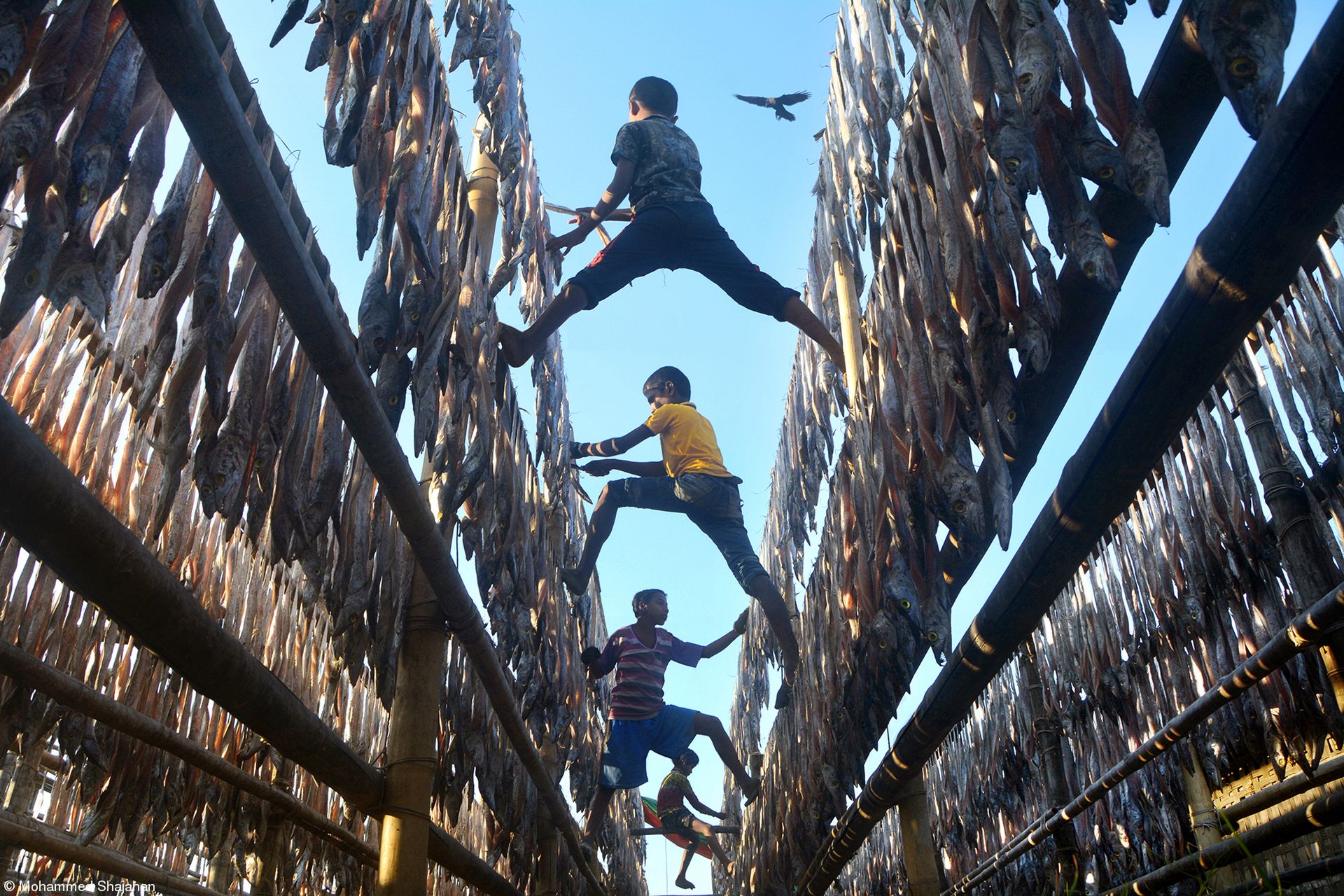 Najsmaczniejsze zdjęcia kulinarne 2019 roku. Zobacz, wyniki konkursu 33