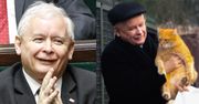 Jarosław Kaczyński o kotce Fionie: "Moja kotka aportuje winogrona"