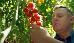 Biedronka podobnie jak Lidl w reklamie stawia na swoich dostawców