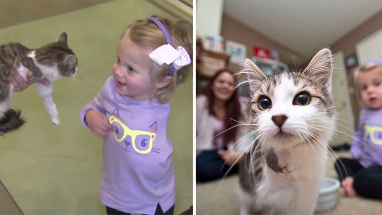 Scarlette i jej kotek 